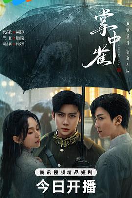 《掌中雀》:命运纠葛下的爱情与救赎,细腻情感触动人心