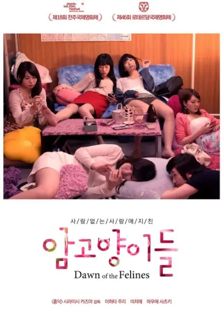 《雌猫们》：一场关于女性觉醒的公路电影，在迷茫中寻找自我与自由！