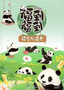 《福到福到福宝见面会》：熊猫顶流萌化全场！独家揭秘见面会幕后趣事与感动瞬间，不容错过！