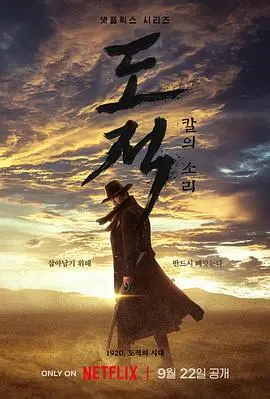 《盗贼之歌》：罪与罚的华丽奏鸣曲，揭秘盗亦有道的江湖传奇